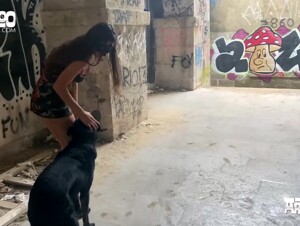 AoZ - Josefina - Dogchaser