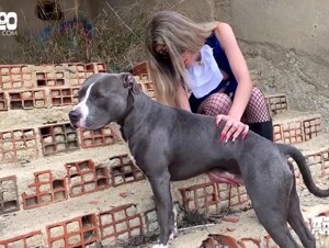 AoZ - Ramona - Dog and Crossbone