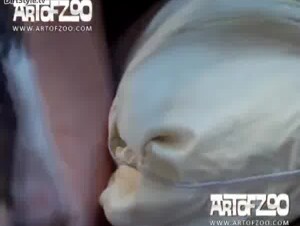 AoZ - Sveta - White Russian